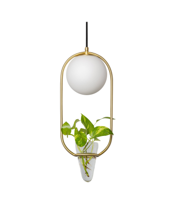Deckenlampe mit goldenem Metallrahmen und Glasblumentopf