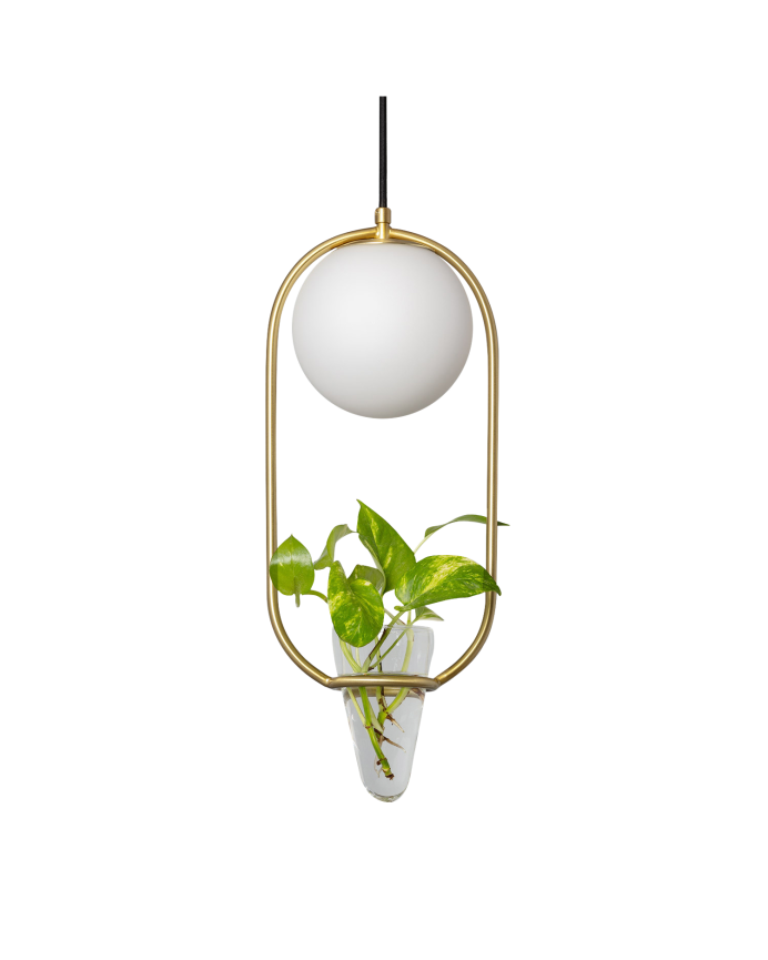 Deckenlampe mit goldenem Metallrahmen und Glasblumentopf