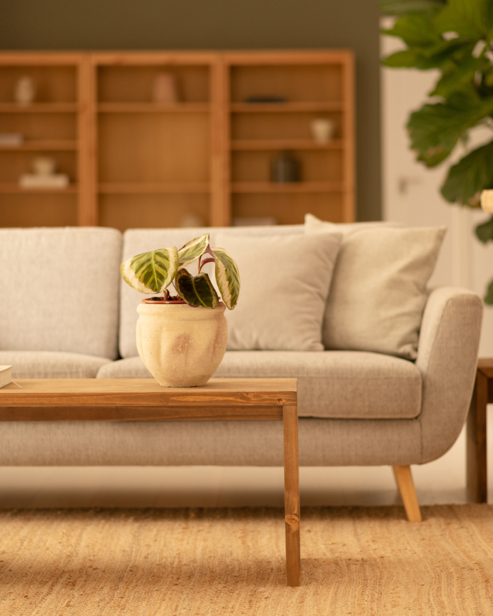 Massiver Holz-Couchtisch in dunkler Eiche, 110x45x35cm.