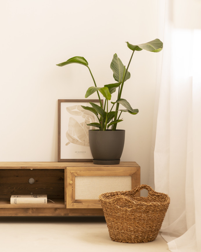 Solid wood TV stand with linen fabric, 2 doors in dark oak tone, 150x40cm