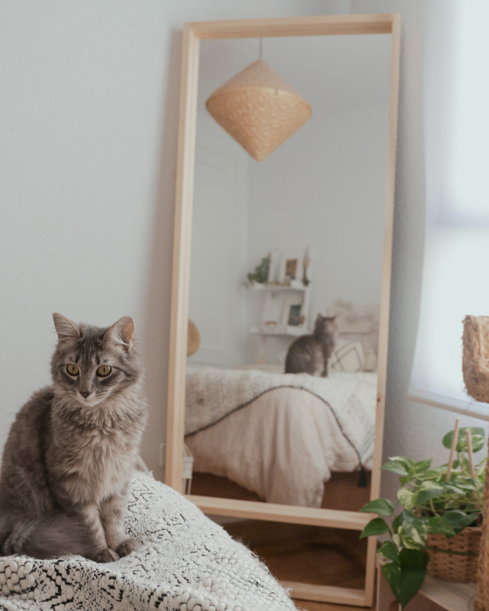 Solid wood effect natural tone mirror of various sizes.
