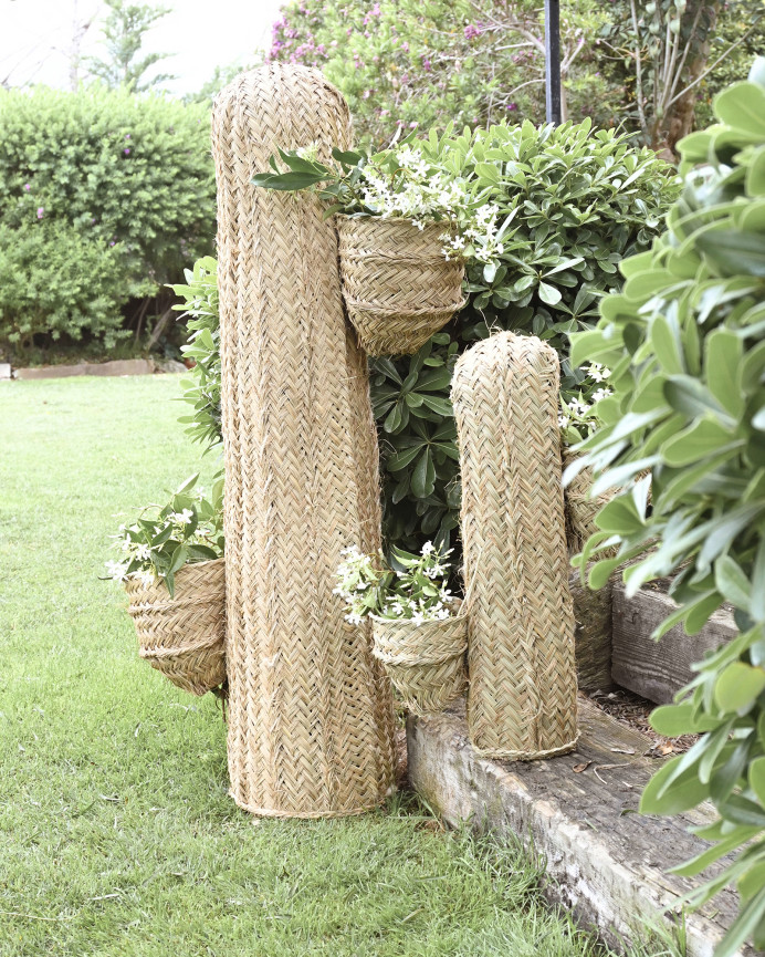 Cactus de esparto con dos maceteros y estructura de madera maciza de varias medidas