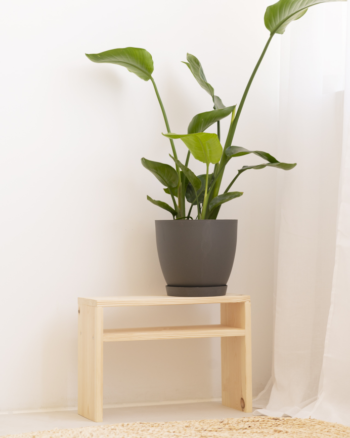 Pack de 2 mesitas de noche de madera maciza en tono natural de 50x36cm