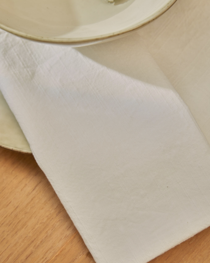Set de 2 servilletas de algodón blanco de 45x45cm