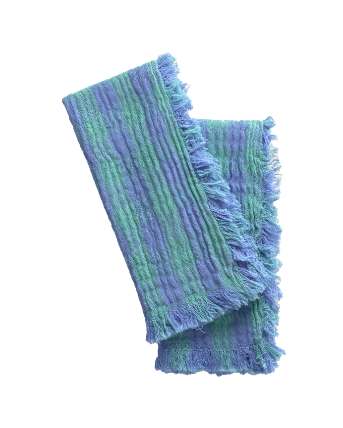 Set de 2 servilletas de algodón tonos azules de 45x45
