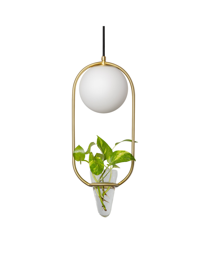 Plafonnier avec une structure métallique dorée, une sphère en verre translucide et un pot de fleur en verre transparent.