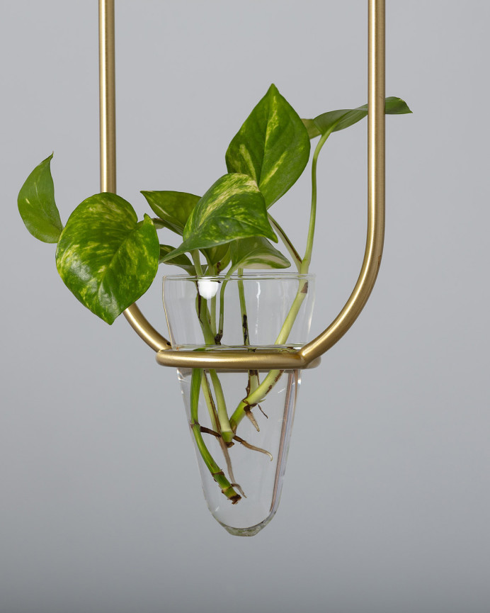 Plafonnier avec une structure métallique dorée, une sphère en verre translucide et un pot de fleur en verre transparent.