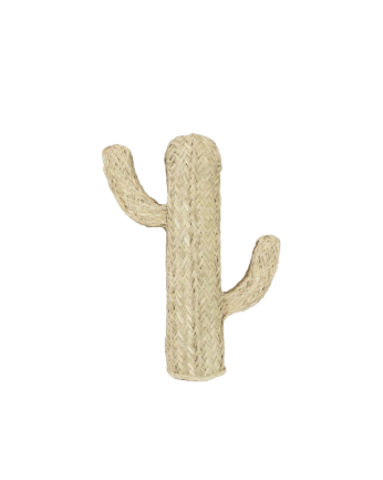 Cactus en sparte naturel de différentes tailles