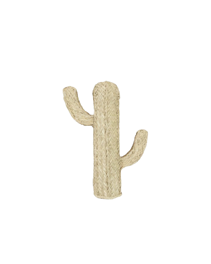 Cactus en sparte naturel de différentes tailles