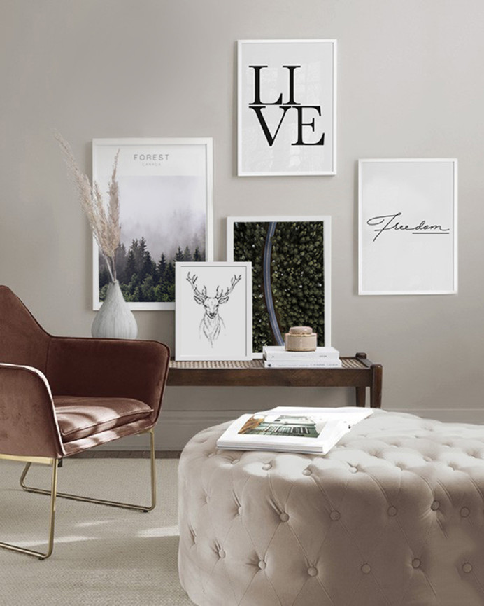 Pack de 5 posters Forest