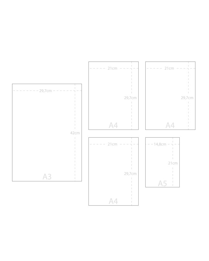 Pack de 5 posters Forest