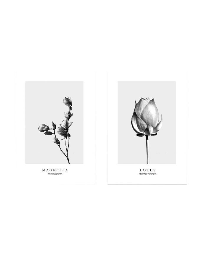 Pack de 2 posters Flowers