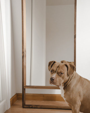 Miroir en bois massif ton chêne foncé de différentes tailles