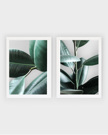 Pack de 2 posters Plants