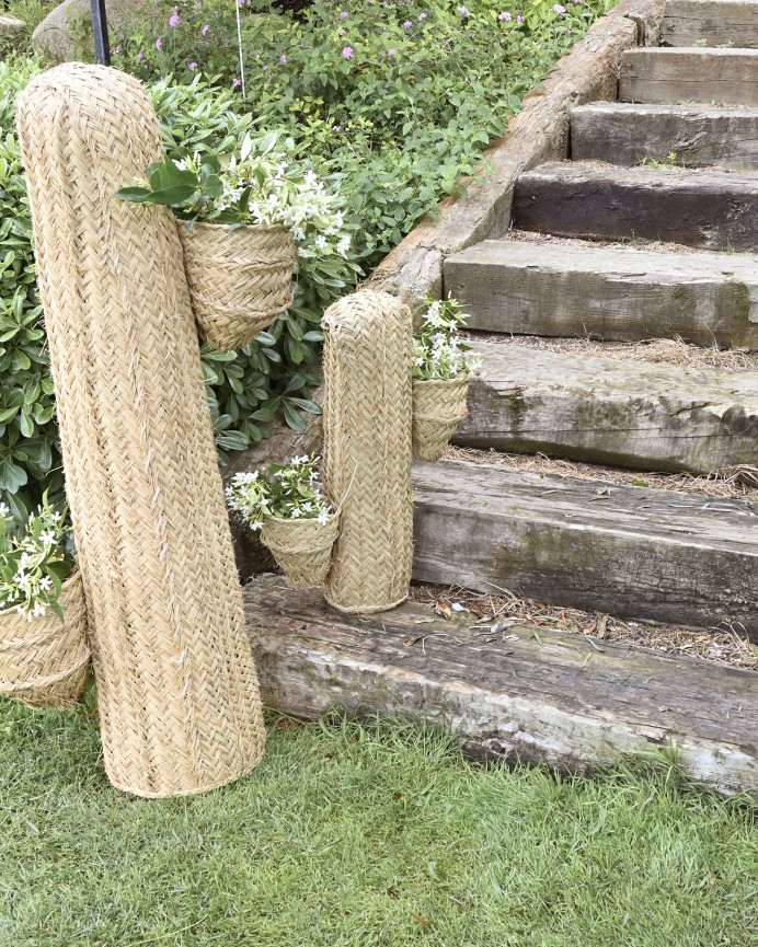 Cactus sparte avec deux pots et une structure en bois massif de différentes tailles