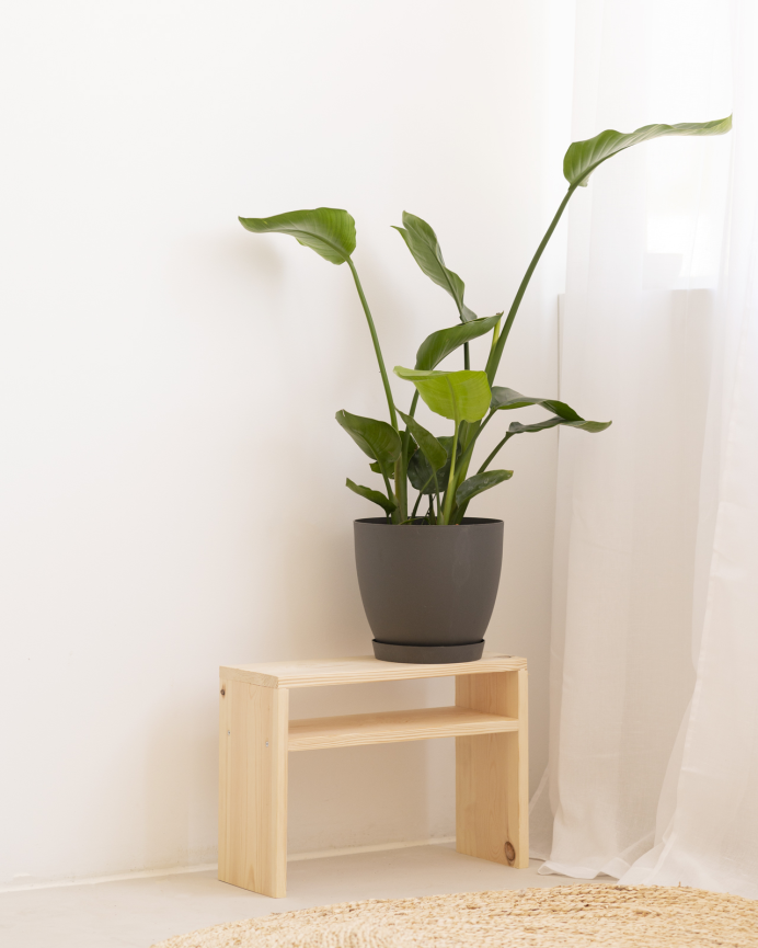 Pack de 2 tables de chevet en bois massif ton naturel de 50x36cm