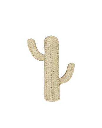 Cactus di sparto naturale di varie misure