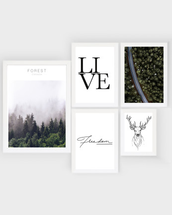 Pack di 5 stampe Forest