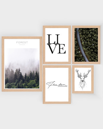 Pack di 5 stampe Forest