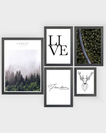 Pack di 5 stampe Forest