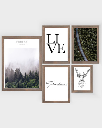 Pack di 5 stampe Forest