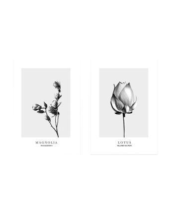 Pack de 2 Láminas decorativas de flores