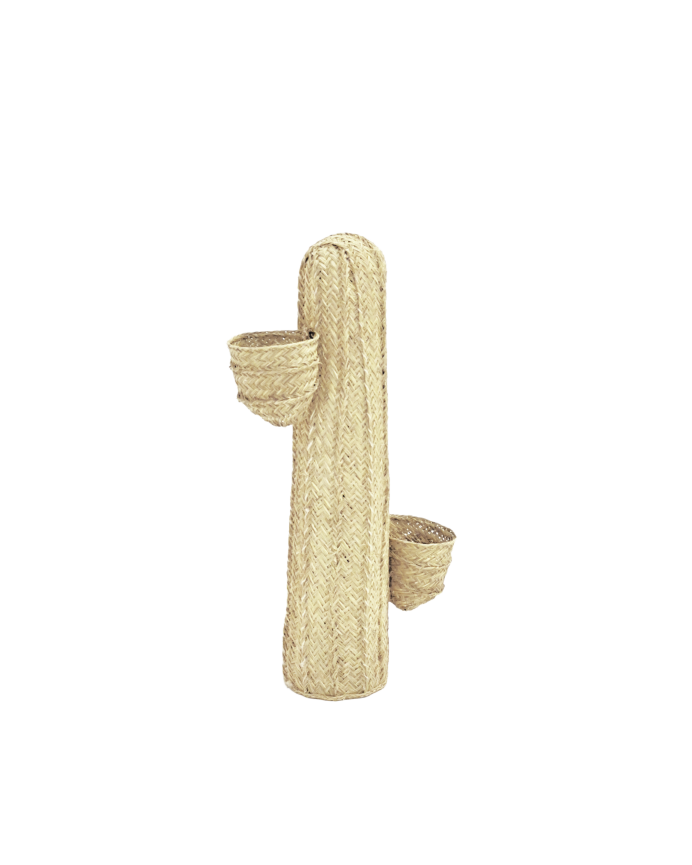 Cacto Esparto com dois vasos e estrutura em madeira maciça de vários tamanhos