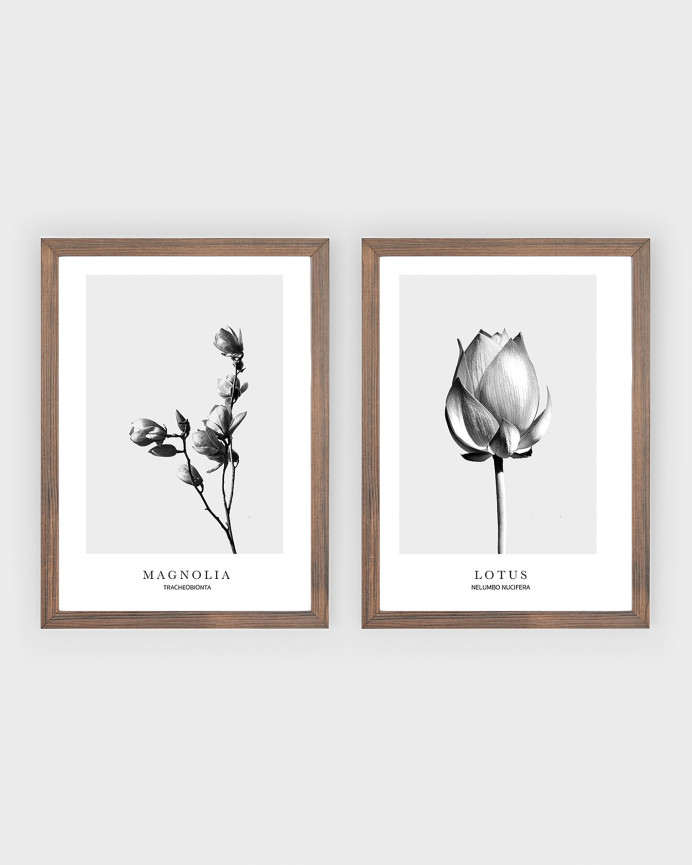 Pack de 2 Láminas decorativas de flores